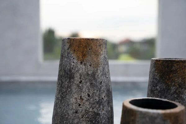 Close-up of a textured stone-like object with a blurred outdoor background