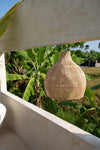 Woven basket hanging outdoors with greenery and a clear sky